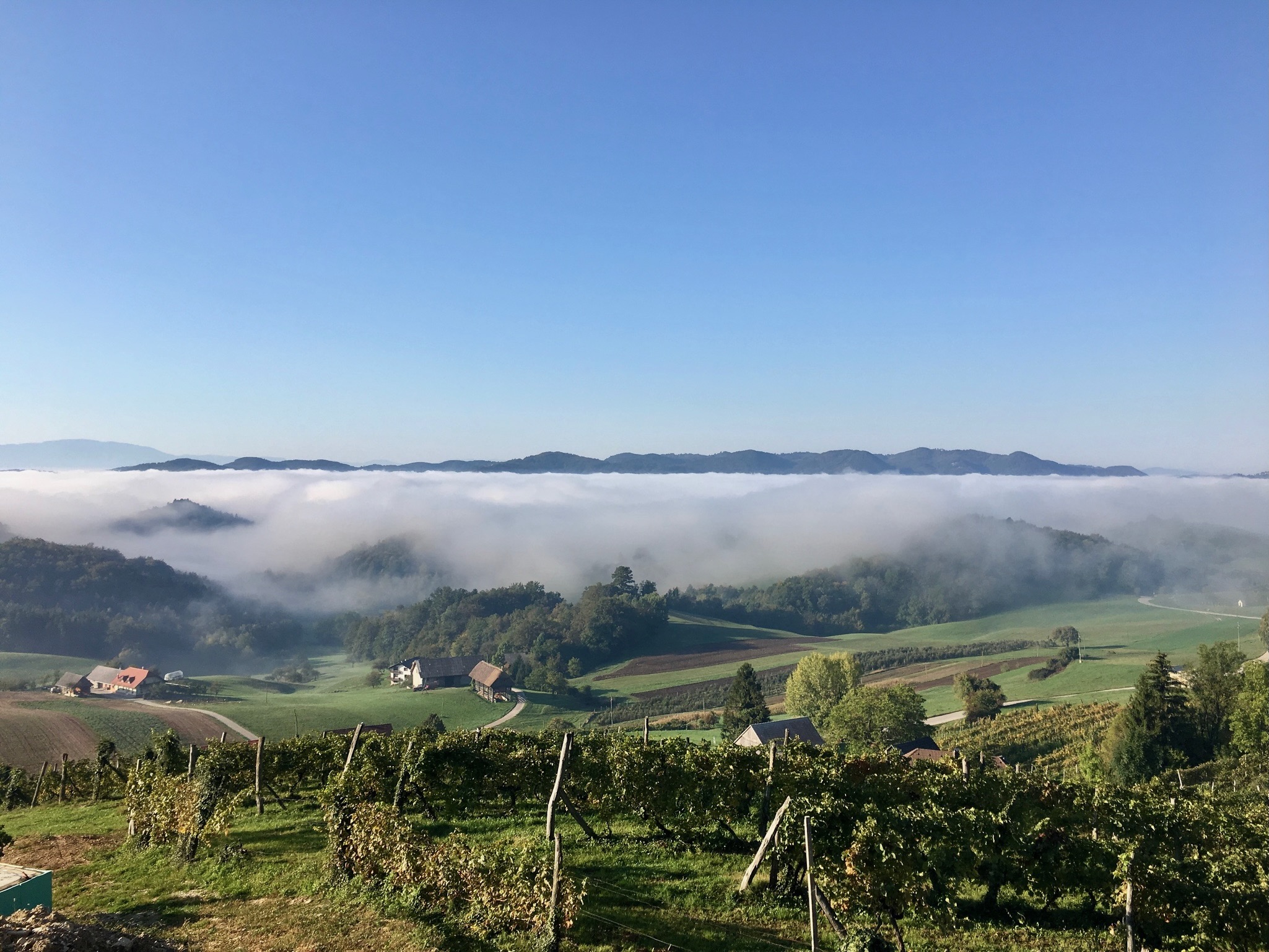 Brda & Vipava Valley